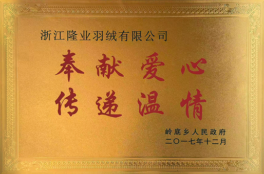 温州岭底乡人民政府奉献爱心奖