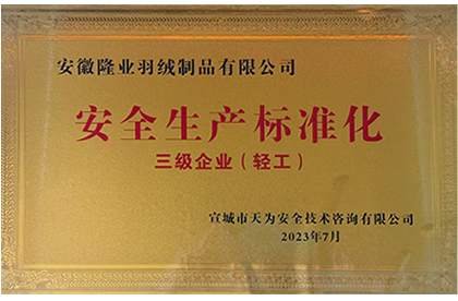 安全生产标准化三级企业