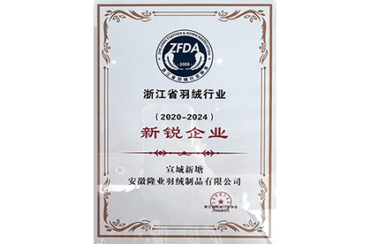 浙江省羽绒行业 (2020-2024) 新锐企业