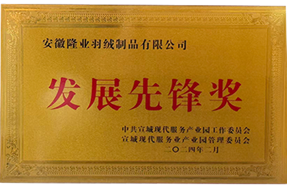 发展先锋奖
