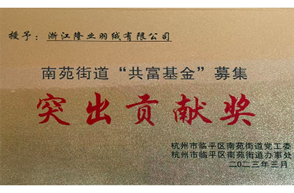 突出贡献奖