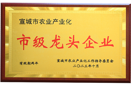 市级龙头企业